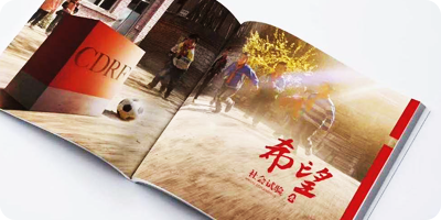 中國(guó)發(fā)展研究基金展示圖2